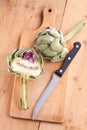 Green artichoke