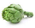 Green artichoke