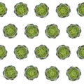 Green artichoke sameless pattern