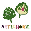 The green artichoke, whole and in section, is highlighted on a white background. The original signature is an Royalty Free Stock Photo