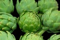 Green Artichokes