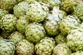 Green artichokes on display