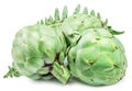 Green artichokes with leaves isolated on white background Royalty Free Stock Photo