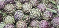 green artichokes for sale at the local fruit and vegetable market Royalty Free Stock Photo