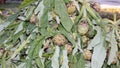 green artichokes for sale in the open air vegetable market Royalty Free Stock Photo