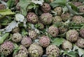 Green artichokes for sale at vegetable market 2 Royalty Free Stock Photo