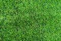 Green artificial grass high angle view