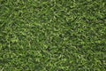 Green artificial grass for background design creation