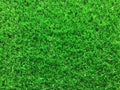 Green artificial grass , Copy space Layout