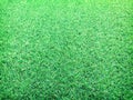 Green artificial grass texture or background and empty space Royalty Free Stock Photo