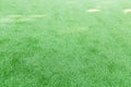 Green artificial grass texture or background And sunlight through the floor Royalty Free Stock Photo