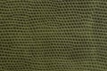 Green artificial leather of snake Royalty Free Stock Photo