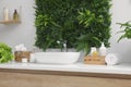 Green artificial plants, vessel sink and different personal care products in bathroom