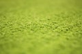 Green artificial turf pattern ,texture for background Royalty Free Stock Photo