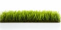 Green Artificial Turf Roll On A White Background Royalty Free Stock Photo