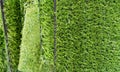 Green artificial turf rolled. Probes examples of artificial turf, floor coverings for playgrounds. Selective focus Royalty Free Stock Photo