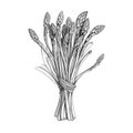 green asparagus ai generated