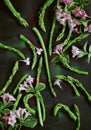Green asparagus, asparagus tips beautiful arranged on dark wood with pink flowers