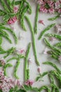 Green asparagus, asparagus tips beautiful arranged on white wood with pink flowers