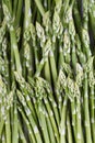 Green Asparagus background Royalty Free Stock Photo