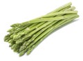 Green asparagus diagonal bunch isolated on white background Royalty Free Stock Photo
