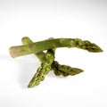 Green Asparagus, asparagus officinalis against White Background Royalty Free Stock Photo