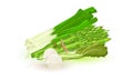 Green asparagus spears, leek root, white radish or daikon with green top.