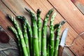 Green asparagus sprout on wooden board