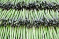 Green asparaguses Royalty Free Stock Photo