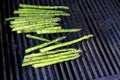 Green asparaguses on a black grill Royalty Free Stock Photo