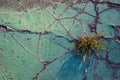 Green asphalt with cracks and grass. Cement floor top view photo texture. Rustic old surface for vintage background Royalty Free Stock Photo