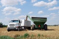 Green Auger unload Wheat into Semi