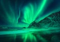 Green aurora borealis above the mountain and frosty seashore