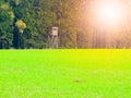 Green autumn field and old wooden gamekeeper high seat at the forest