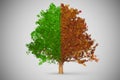 Green autumn oak tree 3D rendering