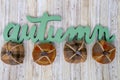 Green Autumn text phrase with four decorative plaid pumpkins.