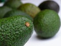 Green avocado Royalty Free Stock Photo