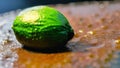 Green avocado close-up on a wet brown surface. Still life with avocado. Generated AI. Royalty Free Stock Photo