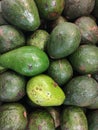 Green Avocado freshen good taste