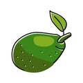 green avocado leaf color icon vector illustration