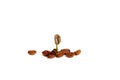 Green baby plant.A sprout of coffee among coffee beans. Business growth concept. on a white background