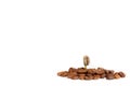 Green baby plant.A sprout of coffee among coffee beans. Business growth concept. on a white background