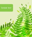 Green background with abstract leafs