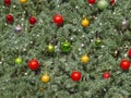 On a green background of an artificial Christmas tree multi-colored balls and garlands. Royalty Free Stock Photo