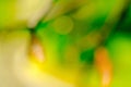 Green background blur. Green nature bokeh glitter defocused lights abstract background. Royalty Free Stock Photo