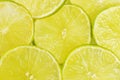 Green background with citrus-fruit of lime slices Royalty Free Stock Photo