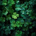 a green background with a clover pattern