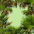 Green background with colored painted palm leaves