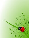 Green background with ladybug