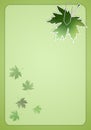 Green background with leaves